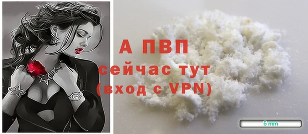 PSILOCYBIN Инсар