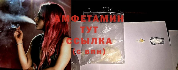 PSILOCYBIN Инсар