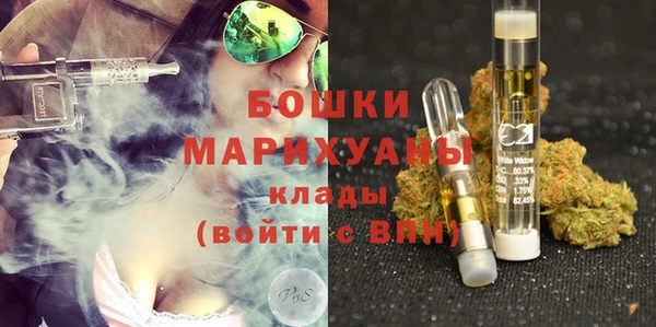 бошки Иннополис