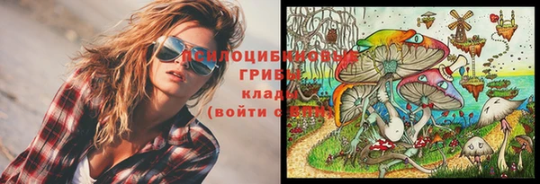 бошки Иннополис