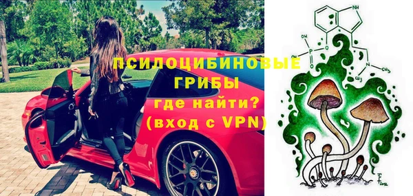 PSILOCYBIN Инсар