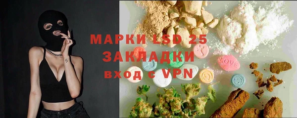 PSILOCYBIN Инсар